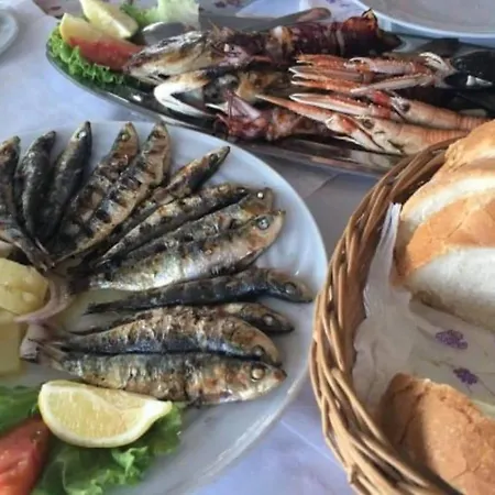 Διαμέρισμα Nika Slatine